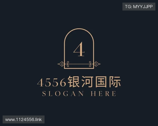 剖析4556银河国际